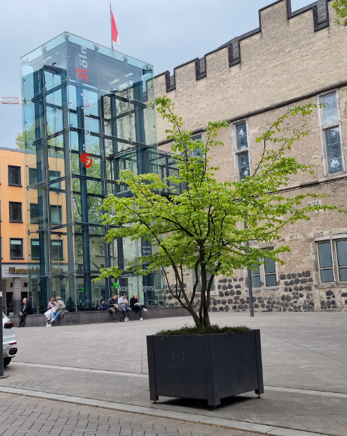 Köln;